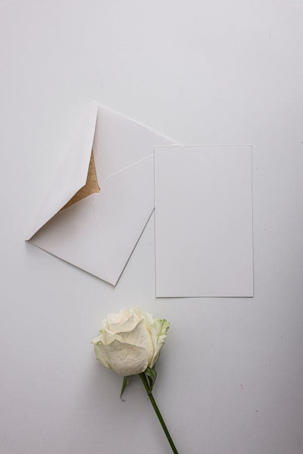 10x13 Envelope
