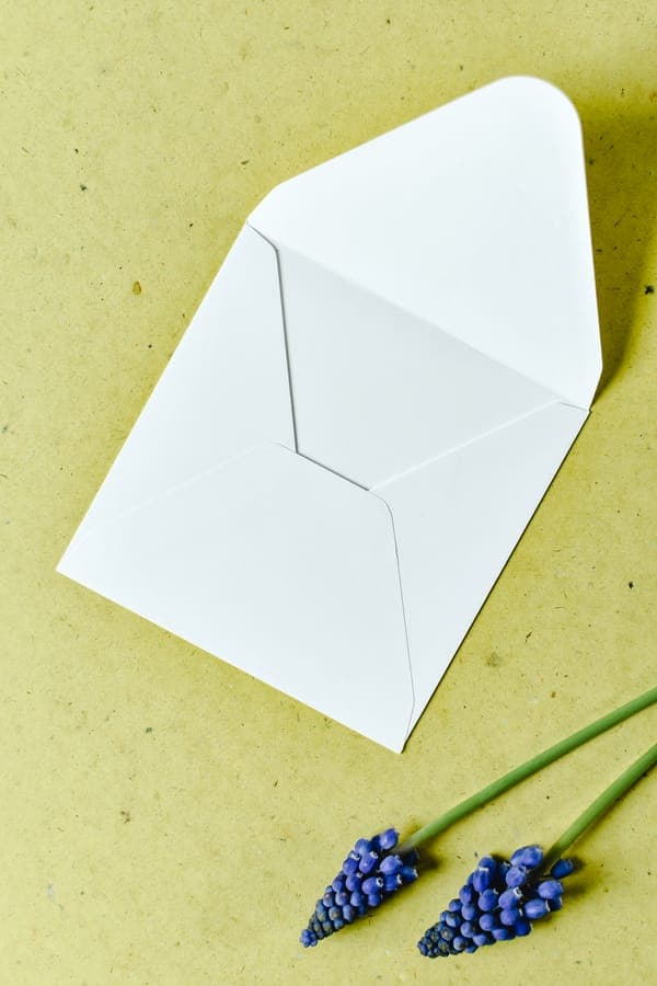 6.5x9.5 Envelope
